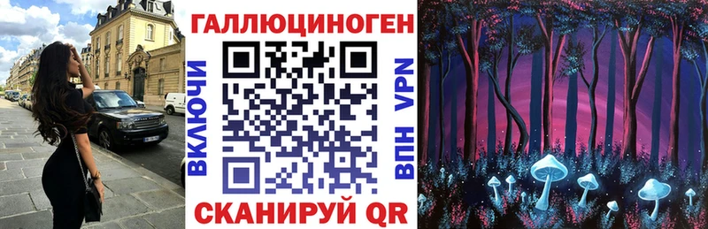 Галлюциногенные грибы прущие грибы  где найти   Вышний Волочёк 