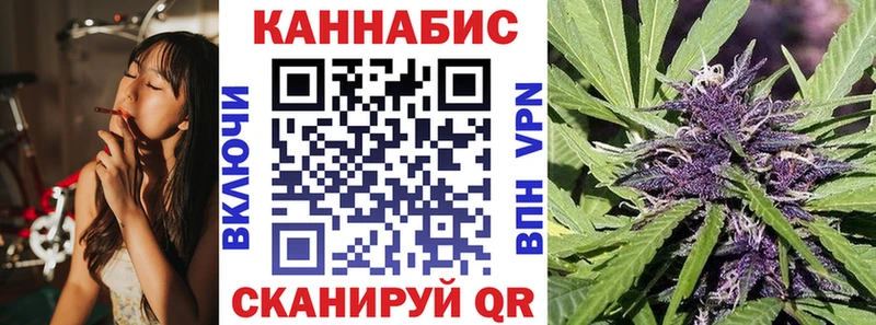 МЕГА ТОР  Вышний Волочёк  Каннабис сатива 